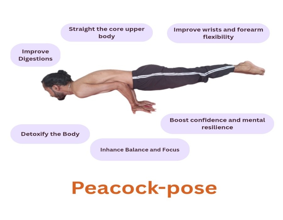 Online Yoga Class